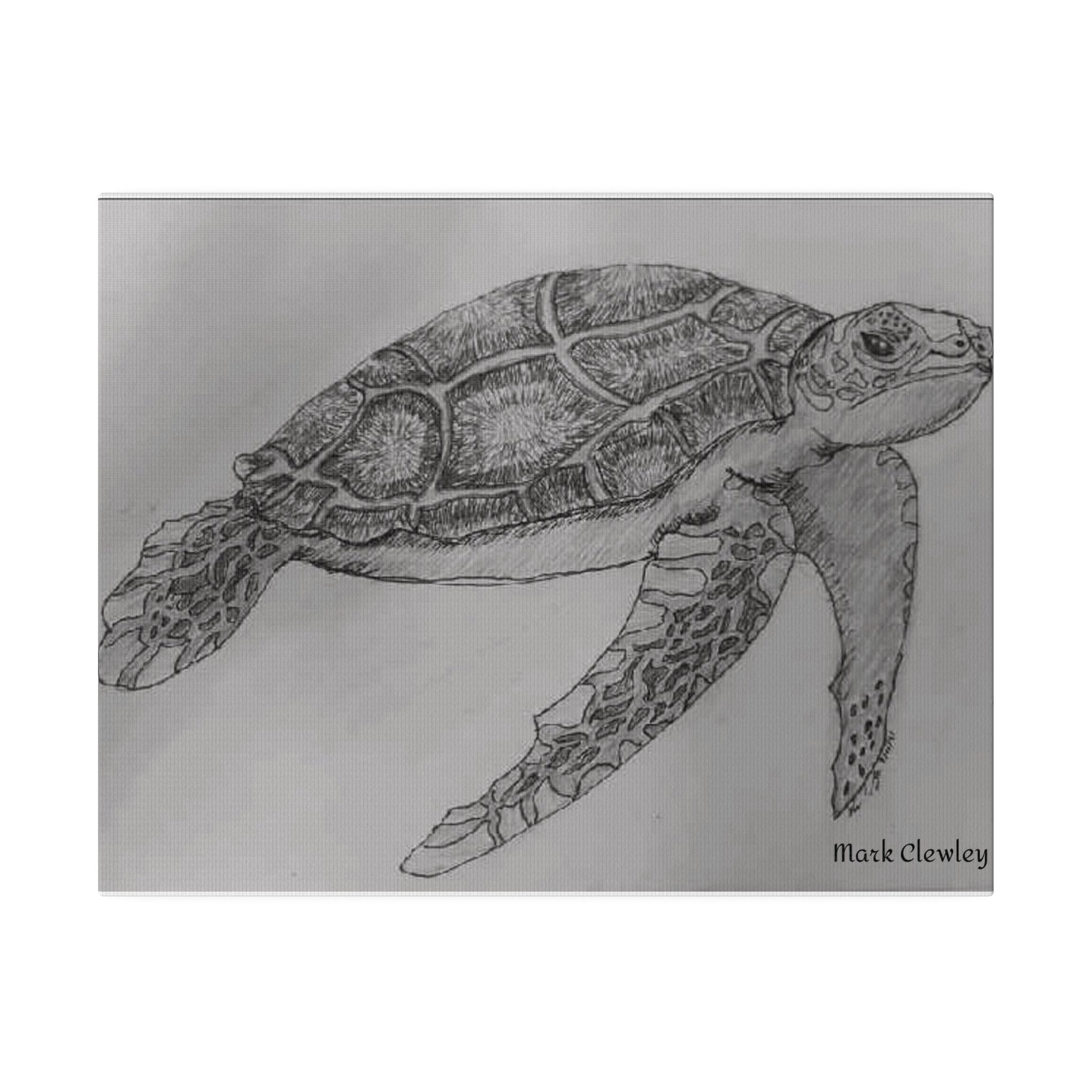 Black & White Turtle - The Warriors Will #Inspiration# #Discipline# #Train#